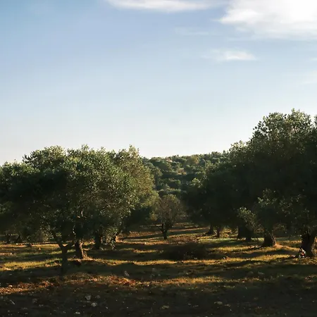 Quercia Puglia Villa *