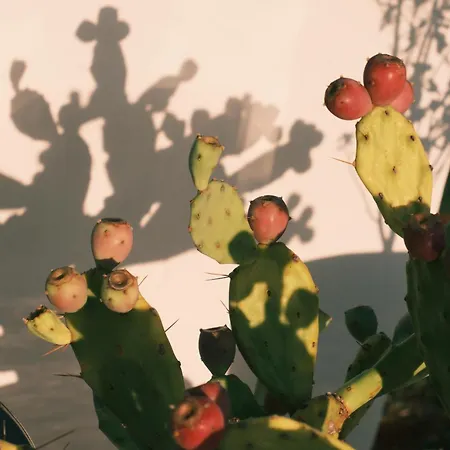 Quercia Puglia Villa