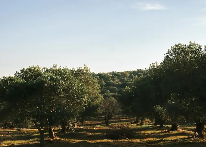 Quercia Puglia Villa *