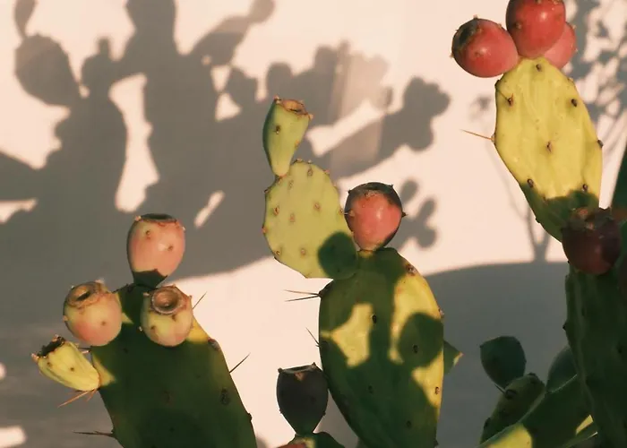 Quercia Puglia וילה